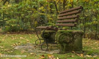 公园中的木长椅图片