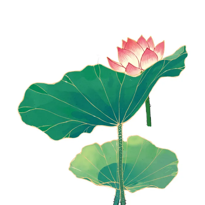 国潮中国风手绘荷花莲花荷叶莲藕植物花卉装饰插画PSD设计素材psd模版下载