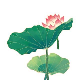 国潮中国风手绘荷花莲花荷叶莲藕植物花卉装饰插画PSD设计素材