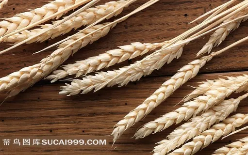 木板上的麦穗摄影