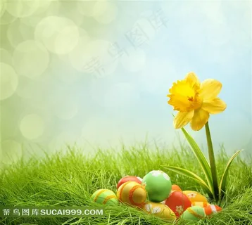 绿色草地彩蛋鲜花图片 绿色草地彩蛋鲜花图片