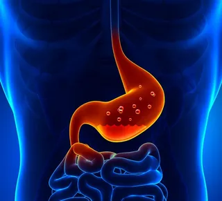 人体器官高清胃部图片素材