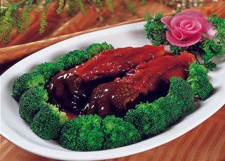 92XX027红扒鳄鱼掌