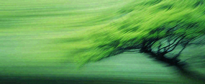 绿色植物树木绚丽虚幻背景(1712x704)