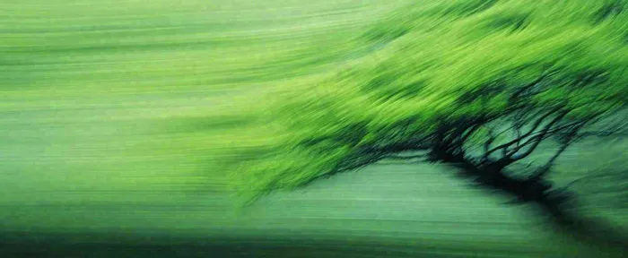 绿色植物树木绚丽虚幻背景(1712x704)