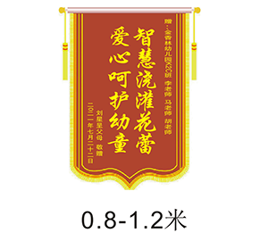 锦旗模板80*120cdr矢量模版下载