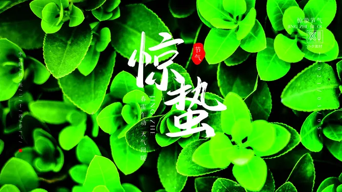 24二十四节气中国风创意惊蛰节日宣传海报模板PSD设计素材psd模版下载