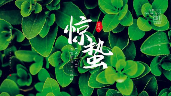 24二十四节气中国风创意惊蛰节日宣传海报模板PSD设计素材 24二十四节气中国风创意惊蛰节日宣传海报模板PSD设计素材