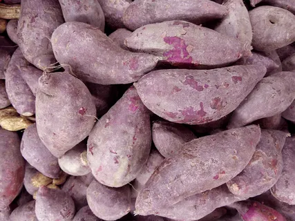 红薯高清图片 红薯高清图片