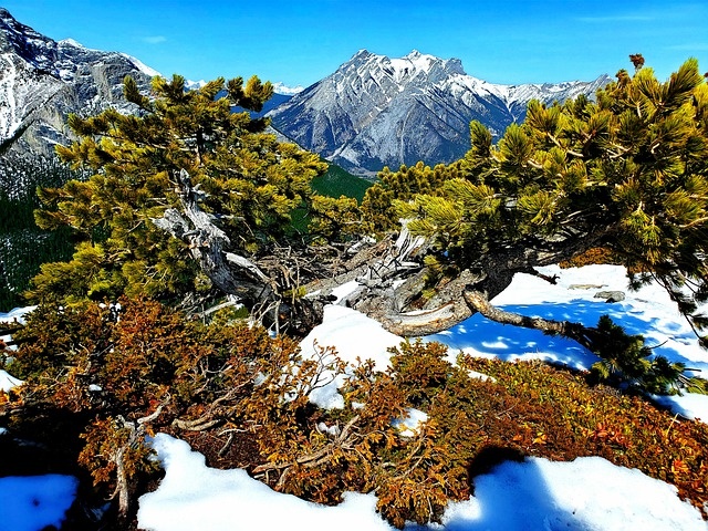 冬天白雪背景风景