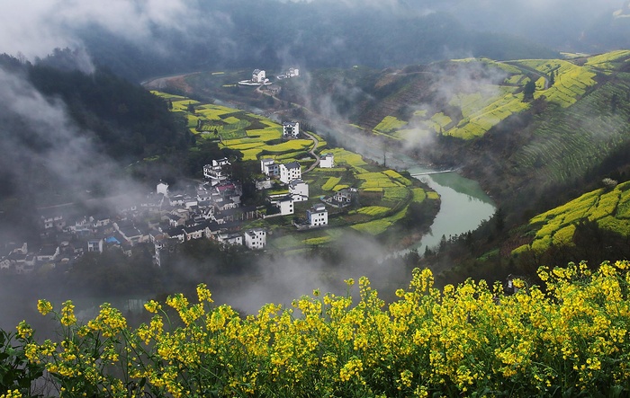 安徽石潭油菜花风景图片-第8张