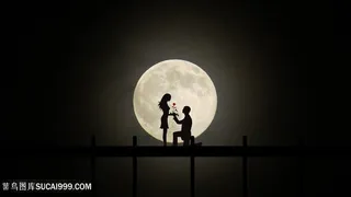 月光下求爱恋人配偶情侣相亲