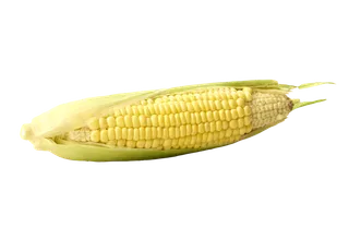 玉米 (6)超市商品白底图免抠实物摄影png格式图片透明底