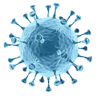 蓝色细菌细节图png免扣