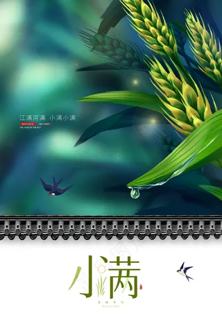 清新二十四节气小满节日海报