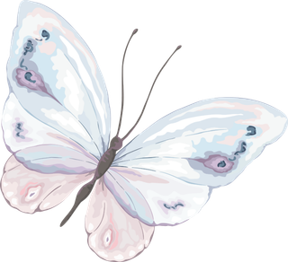 卡通动画动画蝴蝶免扣PNG手绘插画图片素材 (95)