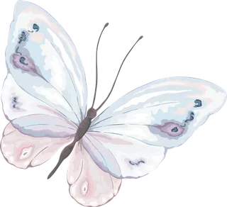 卡通动画动画蝴蝶免扣PNG手绘插画图片素材 (95)