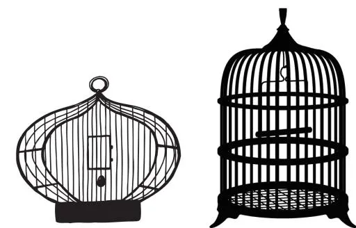 笼中鸟 PNG免抠(1600x1027)