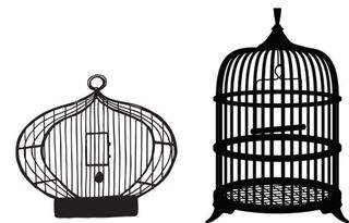 笼中鸟 PNG免抠