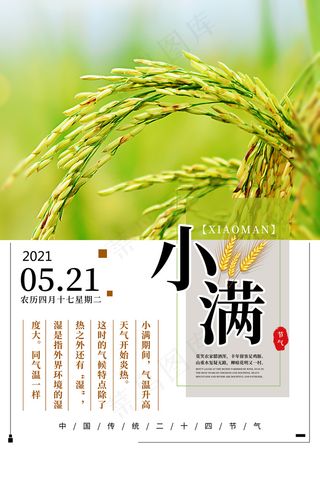 清新二十四节气小满节日海报