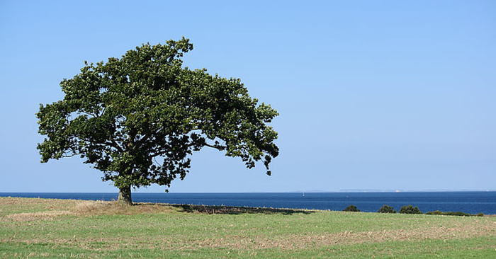 风景 天空 旅行美丽 (427)
