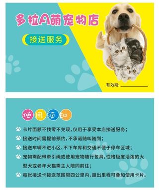 宠物名片卡片