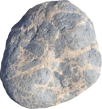 石头 PNG免抠(350x373)