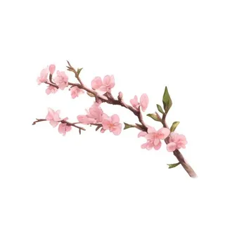 樱花桃花树枝免抠