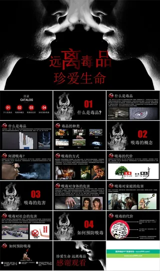 禁毒宣传PPT模板ppt模版