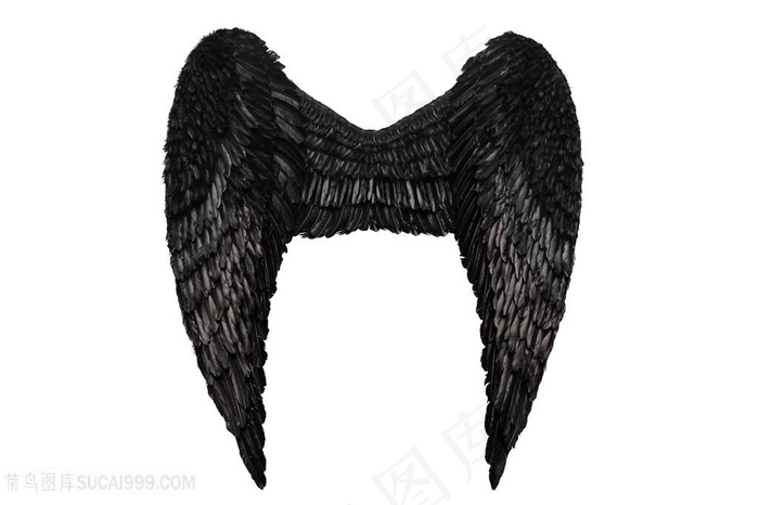 黑色翅膀高清图片