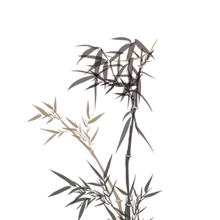 竹子水墨画中国风国画墨水书法竹子画