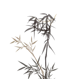 竹子水墨画中国风国画墨水书法竹子画