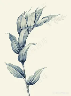 仟像版秋亦晚高清树枝树叶装饰画