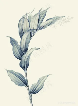 仟像版秋亦晚高清树枝树叶装饰画