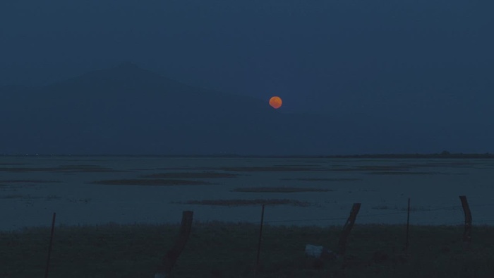 夜晚有月亮的沙漠天际线