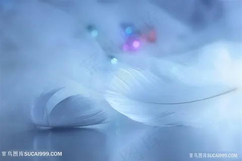 高清唯美洁白羽毛图片 高清唯美洁白羽毛图片