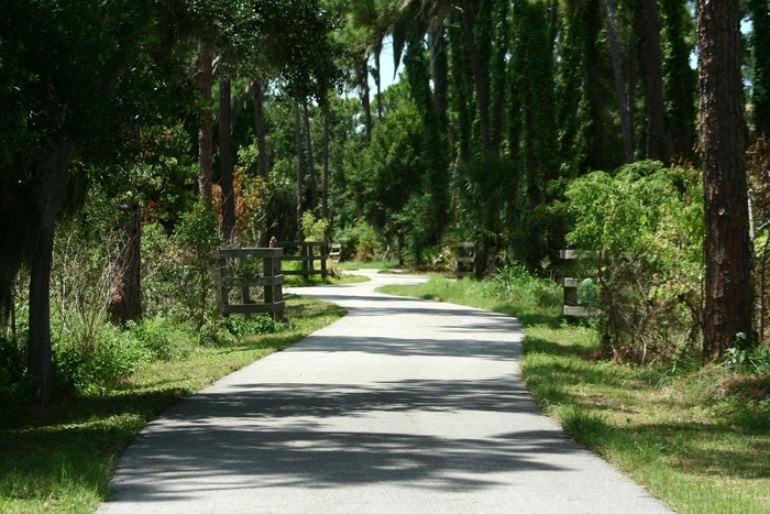 漫步在公园里...-{塞米诺尔，佛罗里达州}
