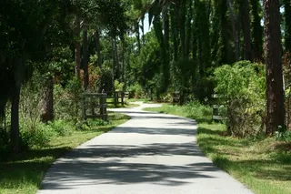 漫步在公园里...-{塞米诺尔，佛罗里达州}