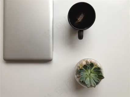 盛开的小盆栽 盛开的小盆栽