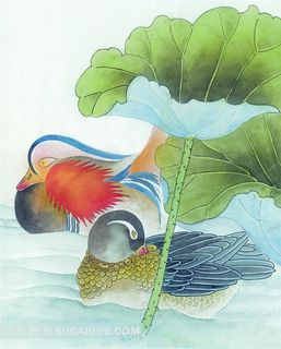 中国风彩色水墨鸳鸯荷叶图