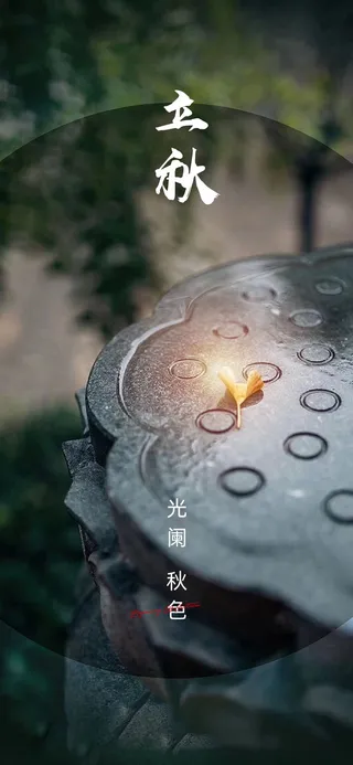 地产二十四节气立秋海报89psd