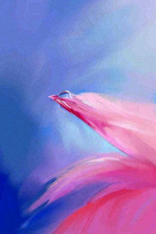粉蓝渐变鲜花唯美水滴手绘插画