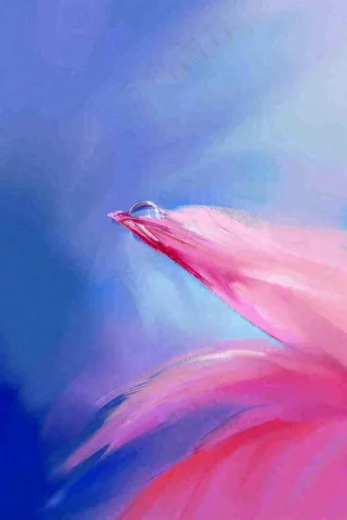 粉蓝渐变鲜花唯美水滴手绘插画