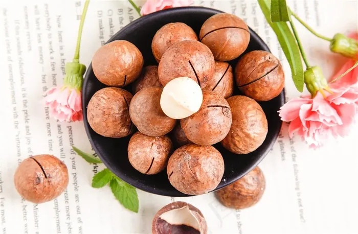 高清夏威夷果图片