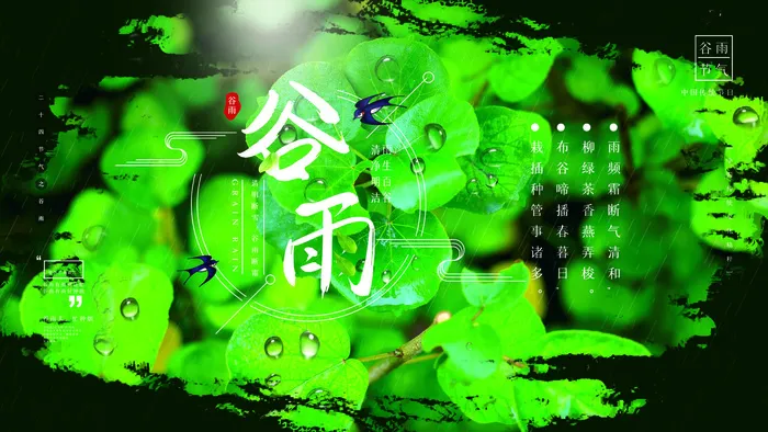 谷雨二十四节气海报设计psd模版下载