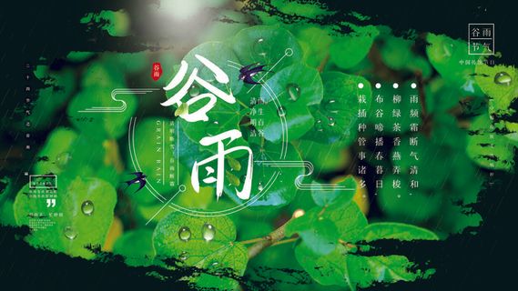 谷雨二十四节气海报设计 谷雨二十四节气海报设计