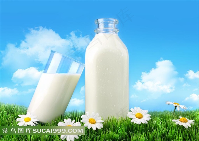 牛奶蓝天白云草地菊花素材