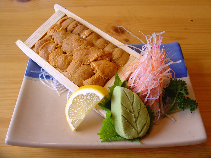   海胆  