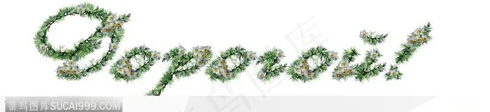 情人节花物语-白色小花组成的单词