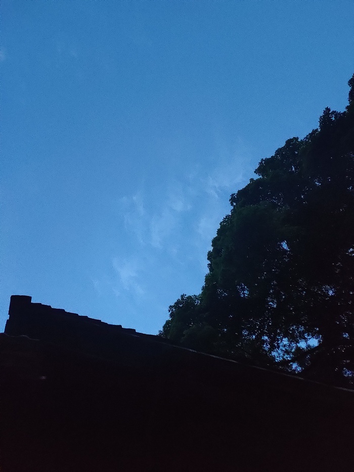 傍晚后院天空
